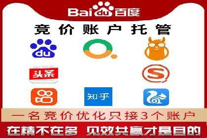 某某sem公司助力某电商企业实现业绩大增的秘诀
